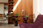 the winery collection 16cm deep purple